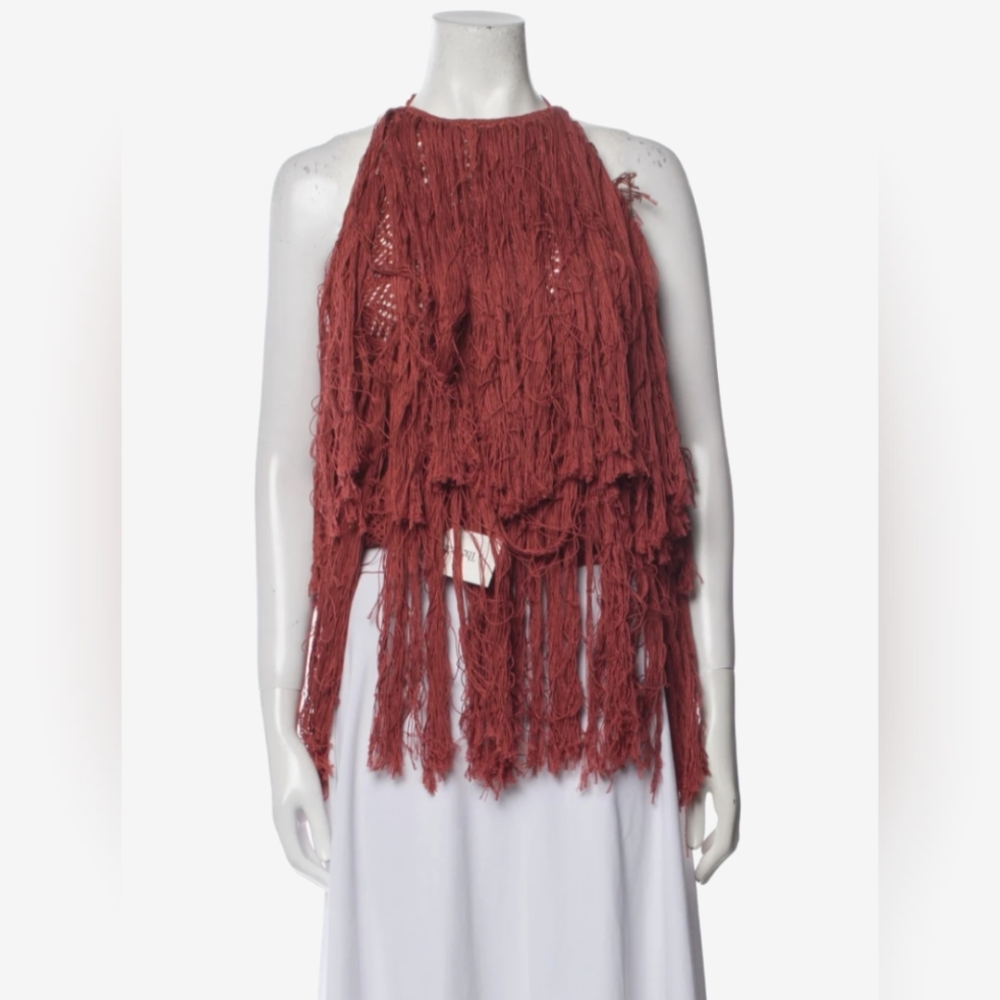 Altuzarra Knit Shirt or Dress in Rust